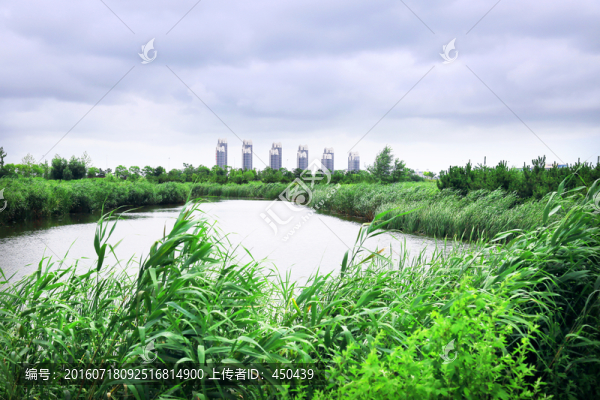 城市風(fēng)光