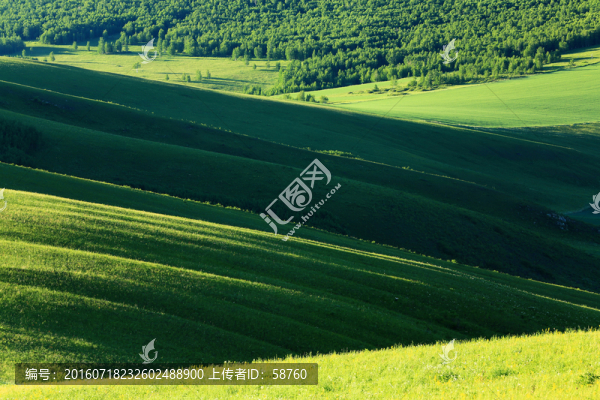 山崗光影