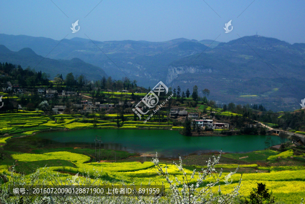 清鎮(zhèn)山區(qū)油菜花海