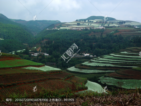 云南紅土地