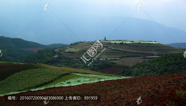 云南紅土地