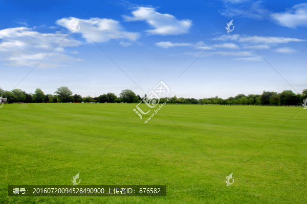 綠草地背景素材