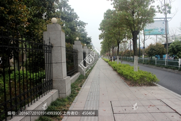 校園風(fēng)光