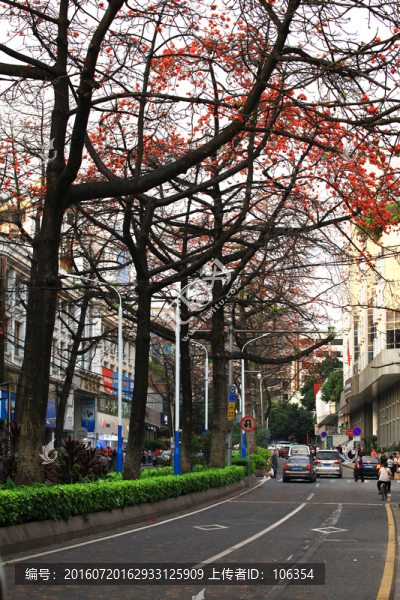 街道