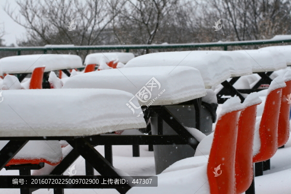積雪