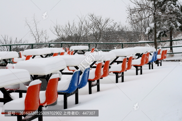 積雪