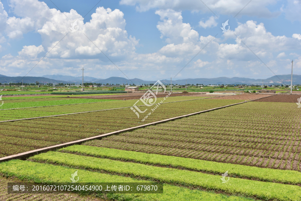 田野風(fēng)光