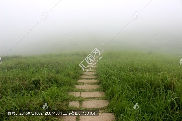 大崳山島