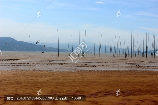福建大崳山島