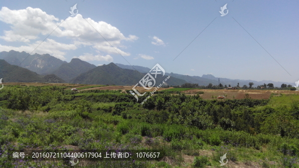 秦嶺山下的田地