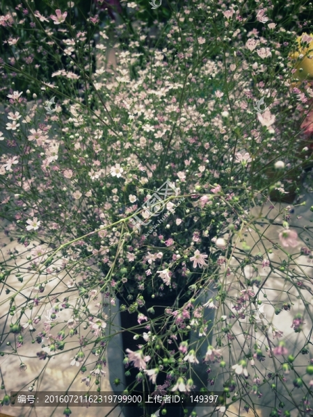 插花