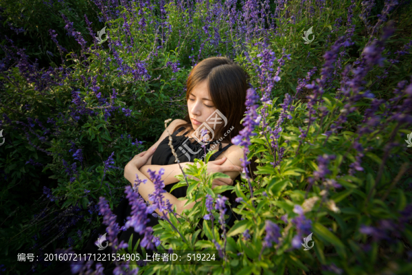 花叢里的女孩