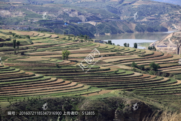 黃河岸邊