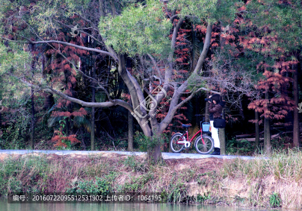 番禺大夫山森林公園