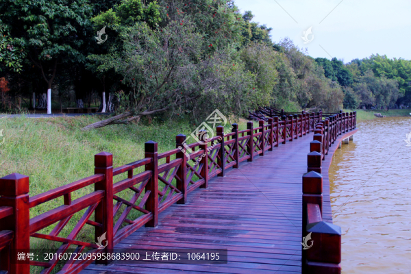 番禺大夫山森林公園