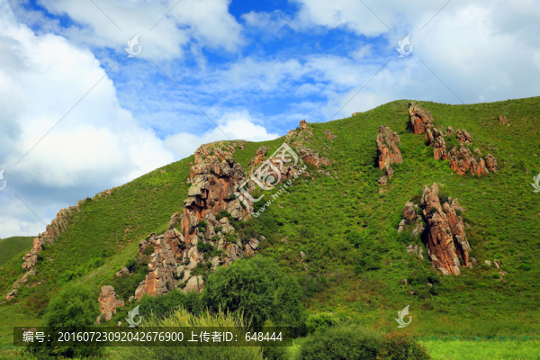 阿爾山玫瑰嶺風(fēng)光