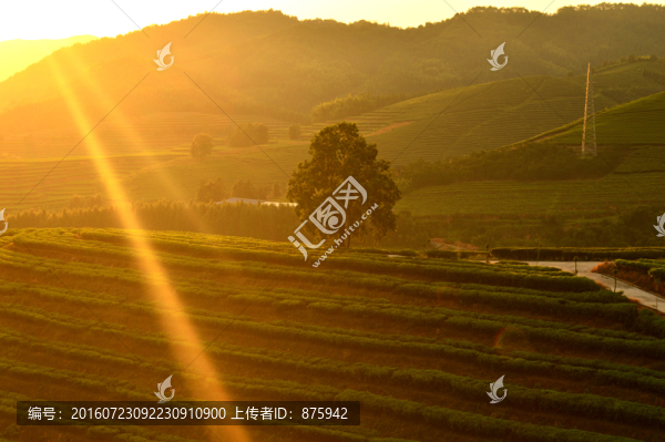 夕陽美景