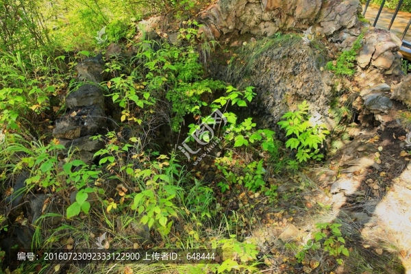 火山噴氣孔遺跡