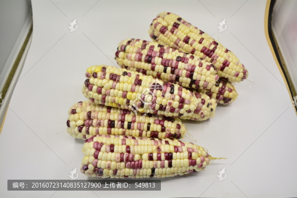 玉米