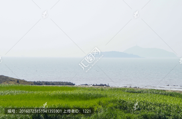 金山