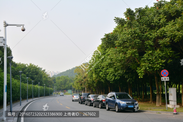 公路