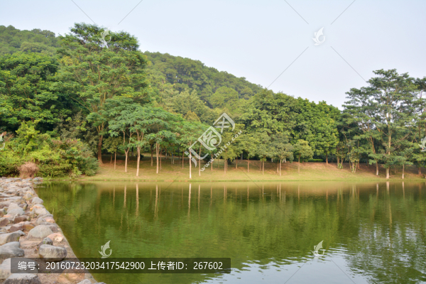 山水