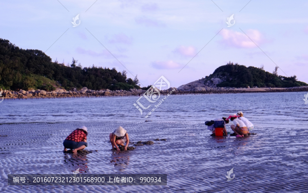 陽西,大樹島