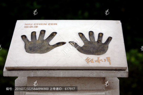 名星手模,人手