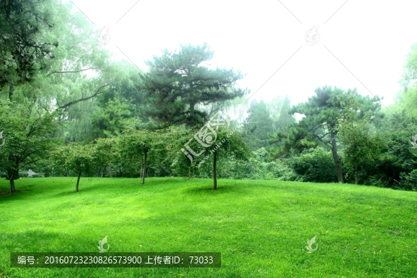 草地