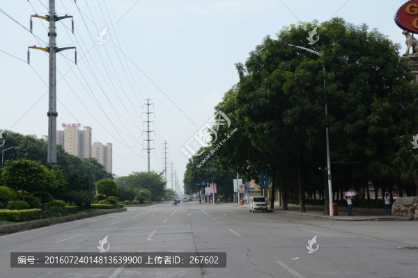綠樹