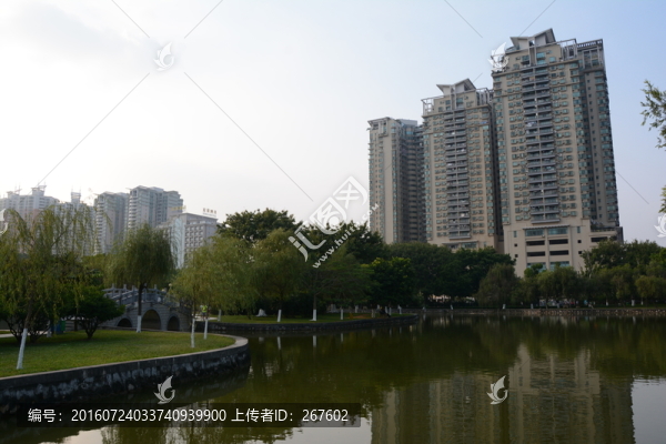 綠樹