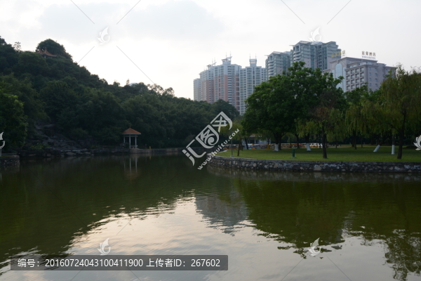 綠化