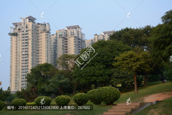 綠化