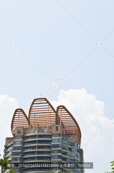 仰視屋頂