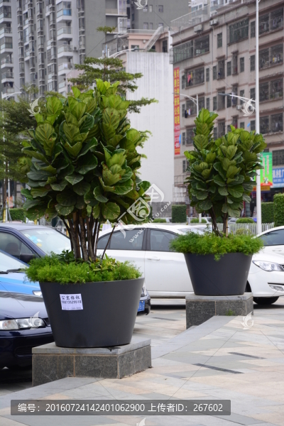 深圳風(fēng)光