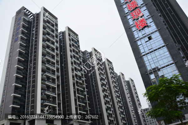 深圳風(fēng)光
