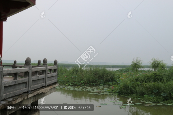 濕地風(fēng)光