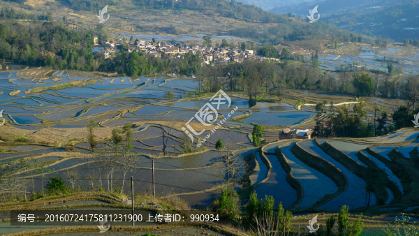 元陽(yáng)梯田