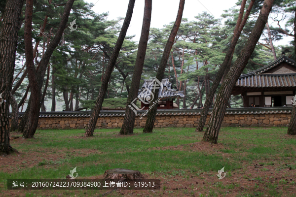 韓國寧樾清冷浦
