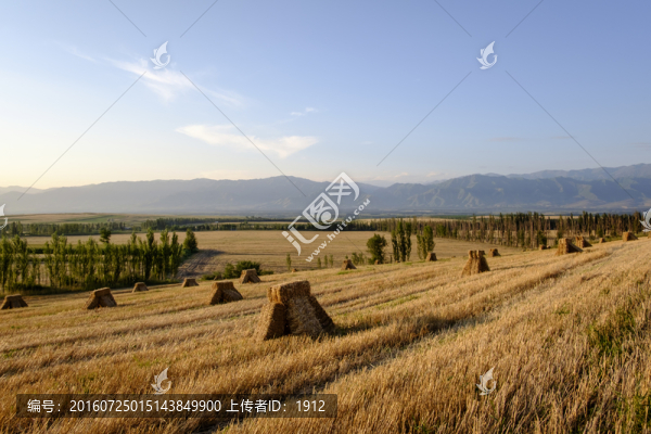 田園風(fēng)光