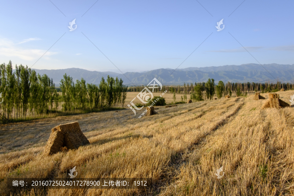 草垛