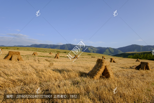 草垛