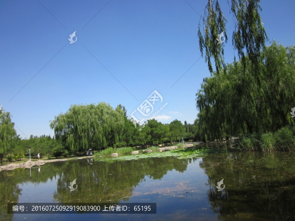 公園湖水