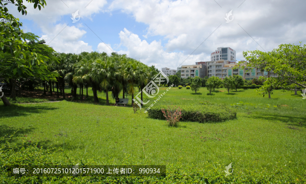 西湖公園