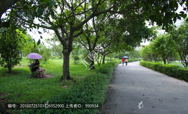 西湖公園
