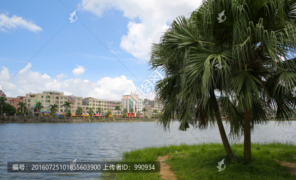 西湖公園