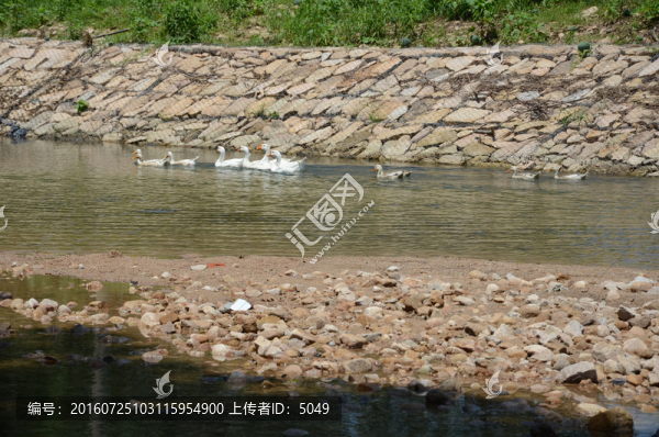 河堤