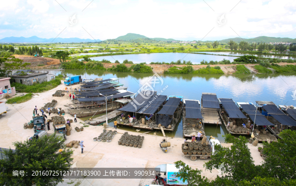 程村鎮(zhèn),紅木山蠔鄉(xiāng)