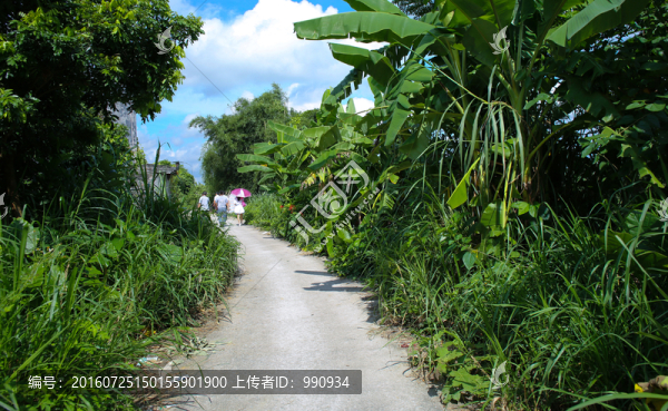 陽西,禾倉古村