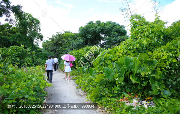 陽(yáng)西,禾倉(cāng)古村